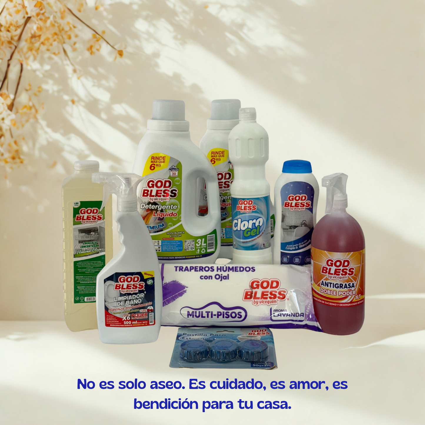 🏡 Pack Oferta: "Bendice tu hogar" – Limpieza completa y calidad superior para cada espacio