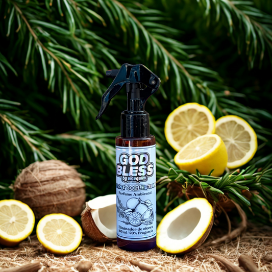 PERFUME AMBIENTAL ELIMINA OLORES 6 VARIEDADES